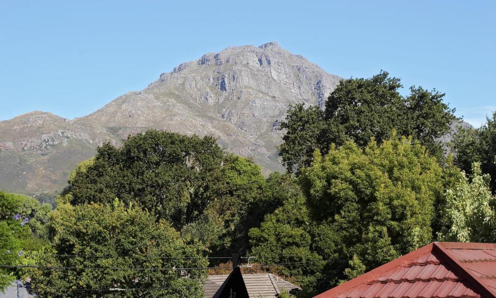Oak Village B&B Stellenbosch Rom bilde
